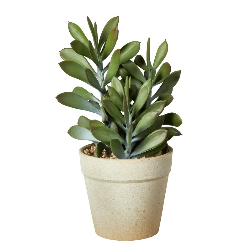 Sukkulent plante grøn, kunstig - Speedtsberg - H: 20