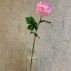 Dahlia lilla, kunstig - Barbara H:75 cm