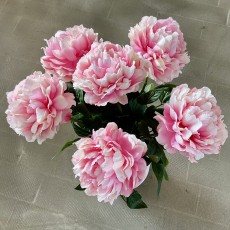 Pæone rosa, kunstig - Barbara H:70 cm