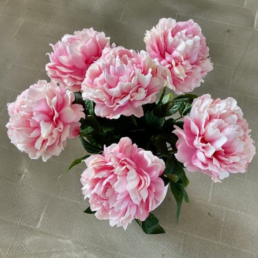 Pæone rosa, kunstig - Barbara H:70 cm