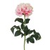 Pæone rosa, kunstig - Barbara H:70 cm