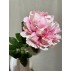 Pæone rosa, kunstig - Barbara H:70 cm