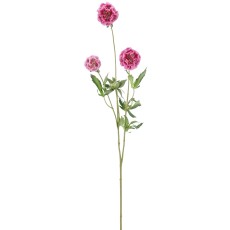 Skabiose rosa, kunstig - Barbara H:75 cm