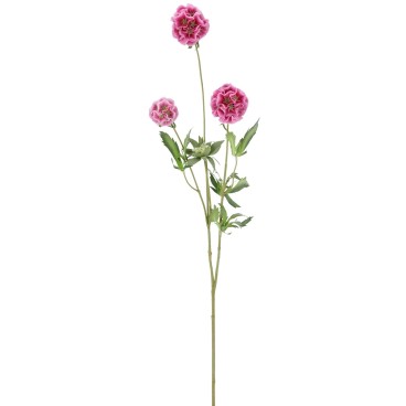 Skabiose rosa, kunstig - Barbara H:75 cm