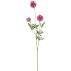 Skabiose rosa, kunstig - Barbara H:75 cm