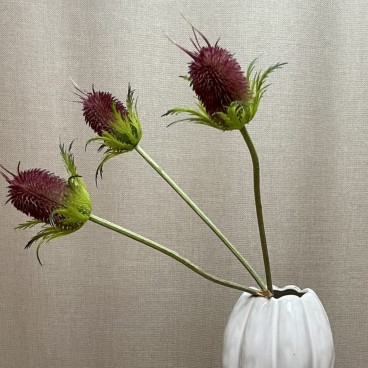 Kruset tidsel bundt á 3 stk., kunstig - Barbara H:58 cm