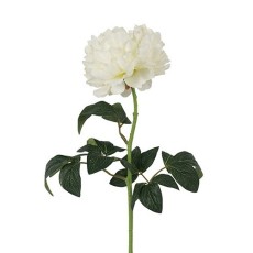 Pæone hvid, kunstig - Barbara H:70 cm