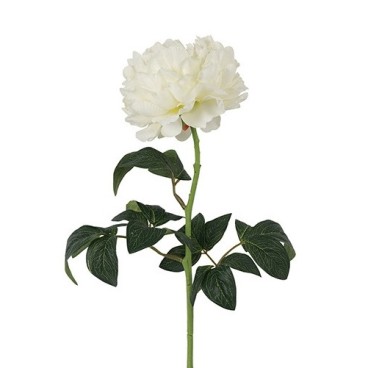 Pæone hvid, kunstig - Barbara H:70 cm