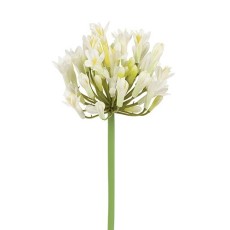 Agapanthus hvid, kunstig - Barbara H:75 cm