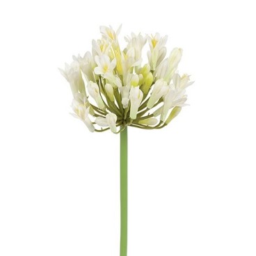 Agapanthus hvid, kunstig - Barbara H:75 cm
