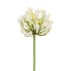Agapanthus hvid, kunstig - Barbara H:75 cm