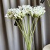 Agapanthus hvid, kunstig - Barbara H:75 cm