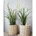 Miscanthus græs plante i potte, kunstig - Barbara - H: 90