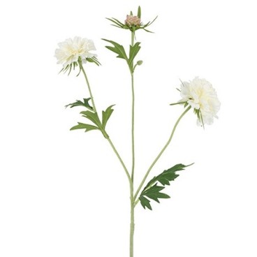 Skabiose hvid, kunstig - Barbara H:72 cm