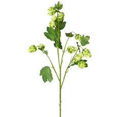 Humle gren grøn, kunstig - Barbara H:77 cm