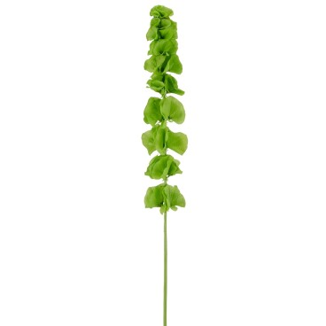Molucella stilk, kunstig - Barbara H:78 cm