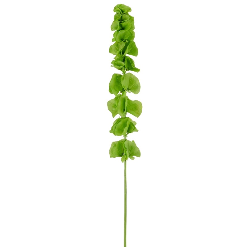 Molucella stilk, kunstig - Barbara H:78 cm