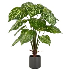 Philodendron plante grøn/hvid i potte, kunstig - Barbara - H: 100