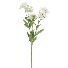 Anemone hvid, kunstig - Barbara H:74 cm