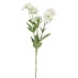 Anemone hvid, kunstig - Barbara H:74 cm